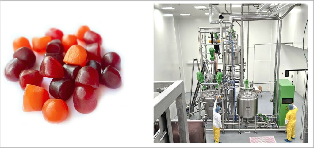 Cornu New Gummy Line